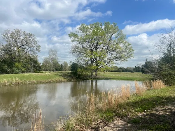 a view of lake with green space