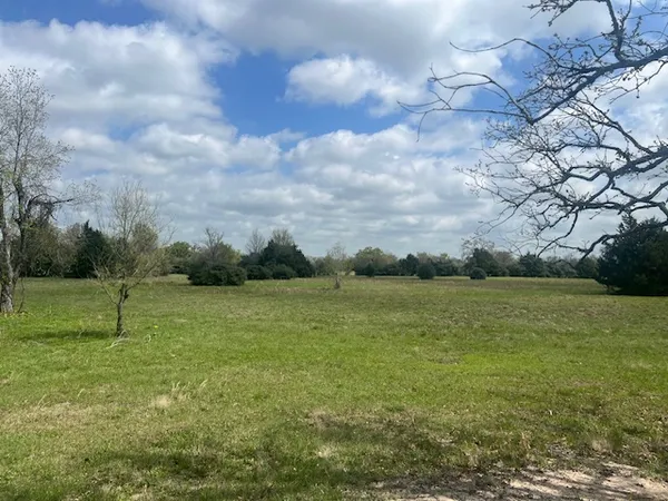 a view of an outdoor space and yard
