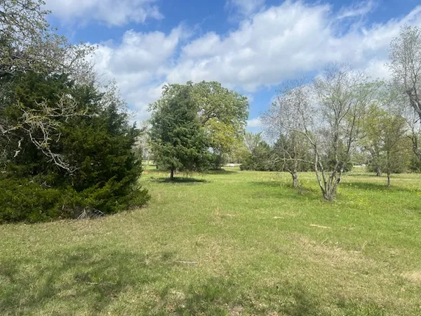 a view of a green field