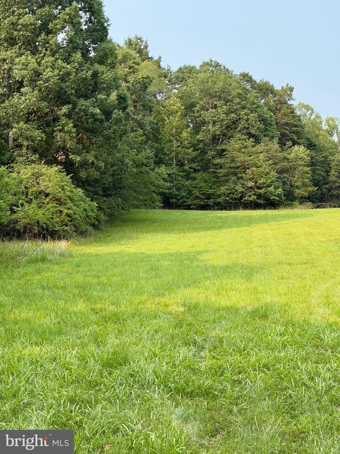 64-56a South Blue Ridge Turnpike Rochelle, VA 22738 - Photo 2 of 4