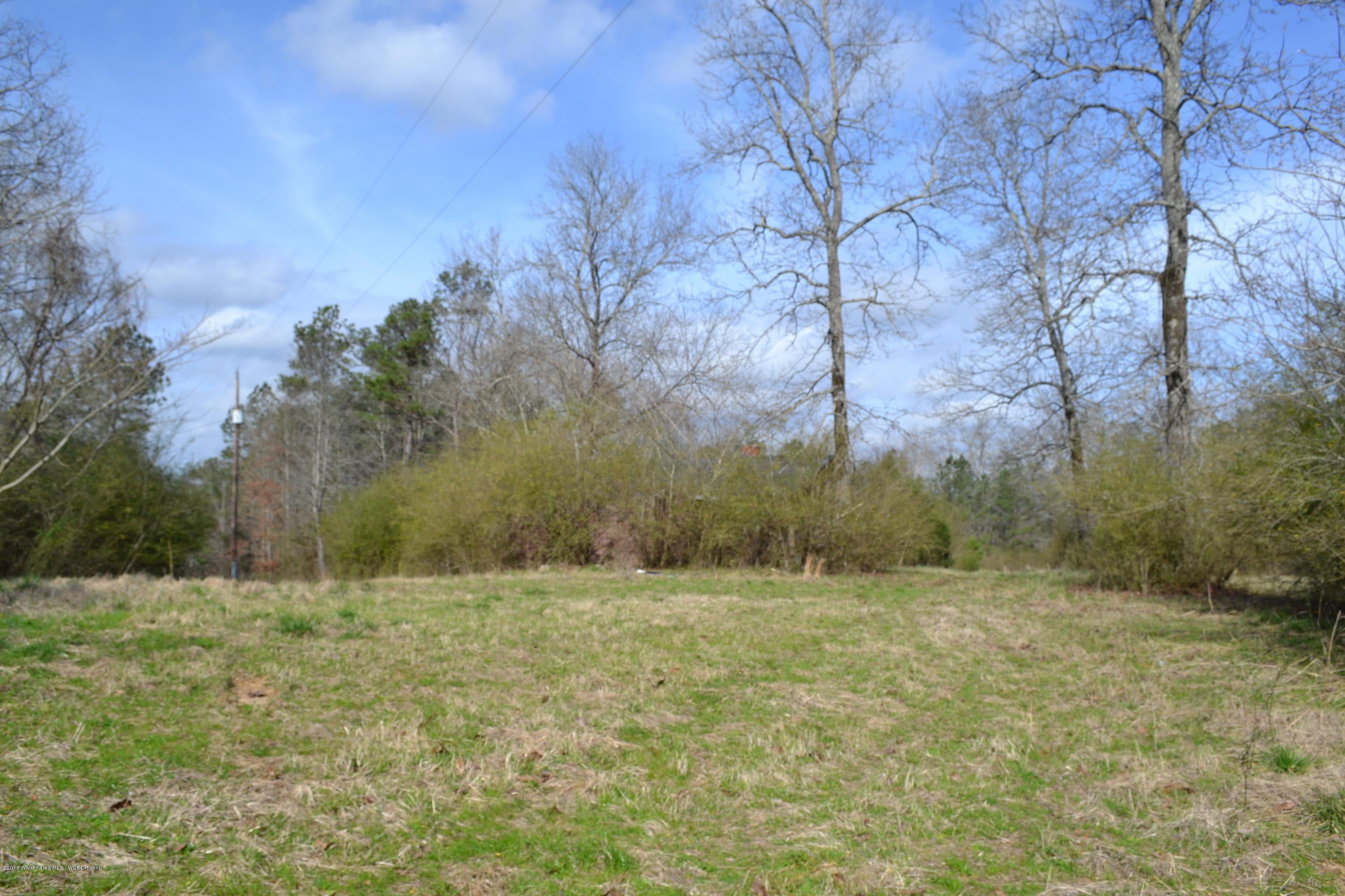 671 Debardeleben Lake Road Jasper, AL 35504 - Photo 31 of 31 Gallery Image 31