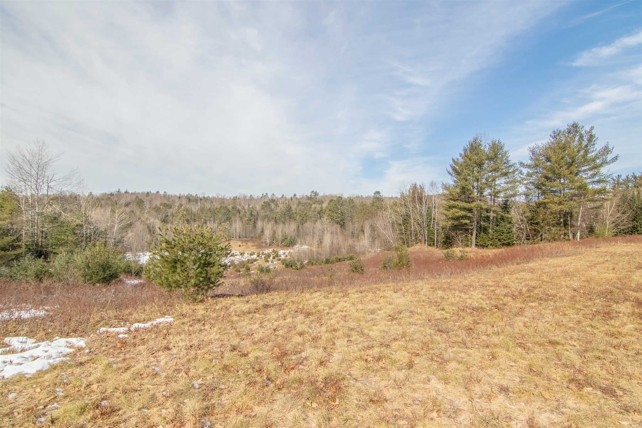 Lot 6 Buck Ridge Road Lisbon, NH 03585 - Photo 1 of 16 Gallery Image 1