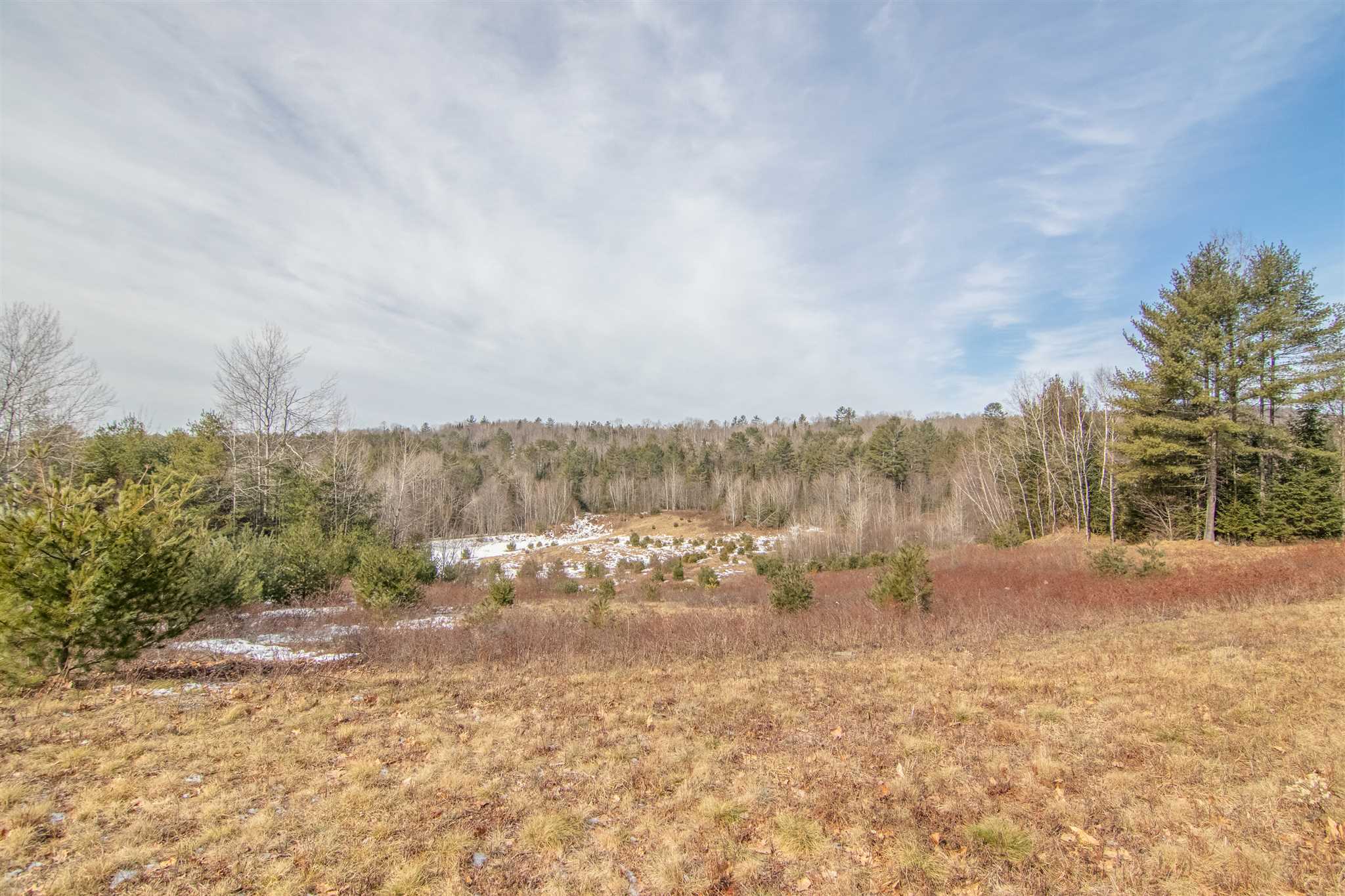 Lot 6 Buck Ridge Road Lisbon, NH 03585 - Photo 2 of 16 Gallery Image 2