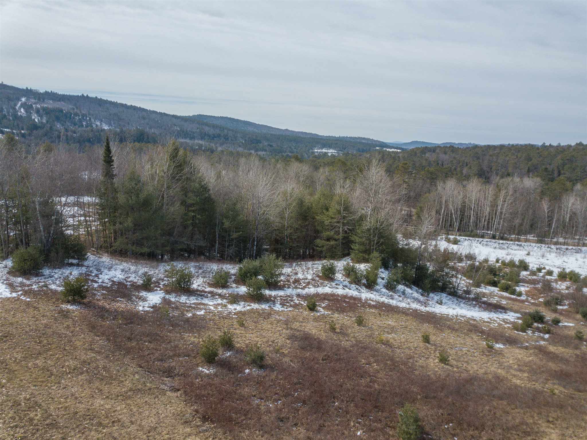 Lot 6 Buck Ridge Road Lisbon, NH 03585 - Photo 11 of 16 Gallery Image 11