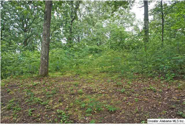 336 Sun Valley Road Birmingham, AL 35215 - Photo 29 of 32