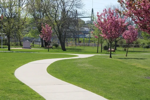 a park with lots of trees and buildings