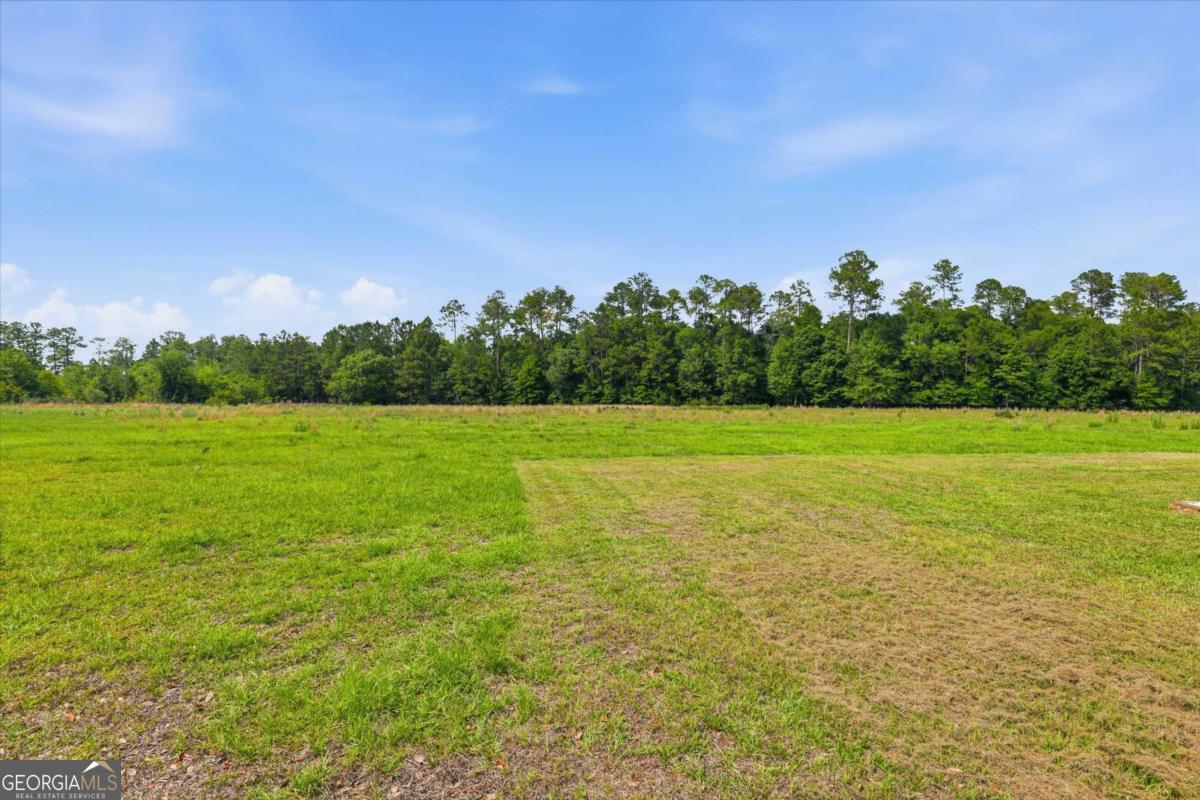 1525 Myron Hart Road Coolidge, GA 31738 - Photo 44 of 58 Gallery Image 44