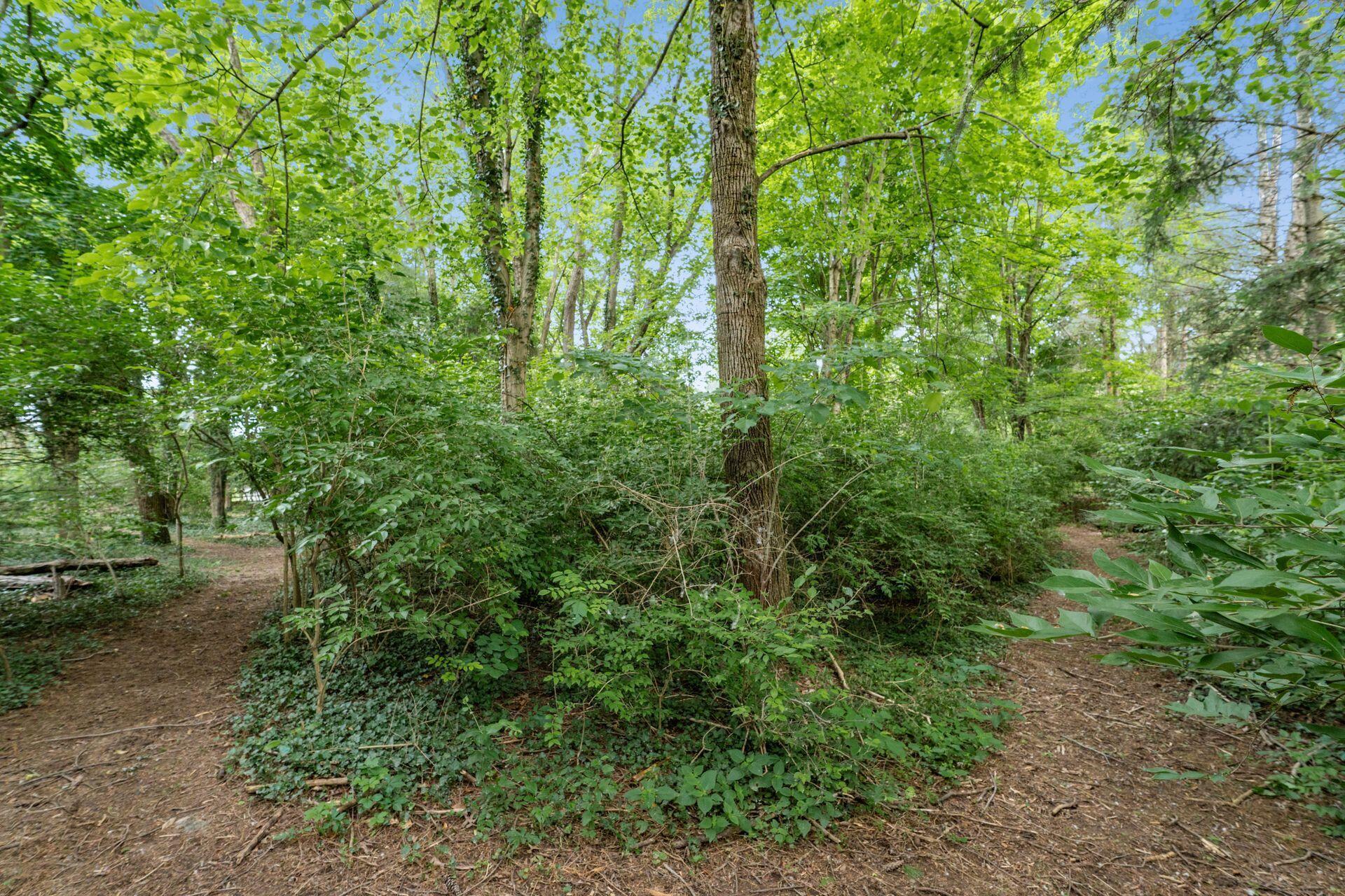 7945 Riverside Drive Powell, OH 43065 - Photo 43 of 60