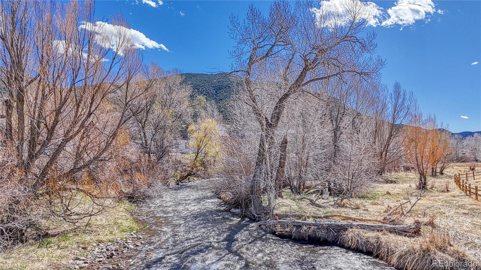 236 Southside Loop Salida, CO 81201 - Photo 4 of 13 a view of a yard with a tree