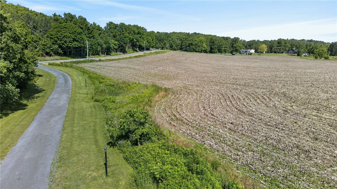 Cramer Road Canandaigua, NY 14424 - Photo 17 of 47