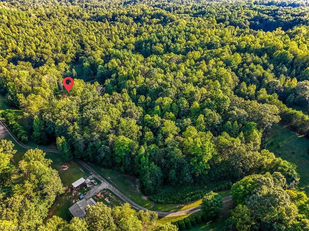 558 Throckmorton Road Madison, NC 27025 - Photo 42 of 48 Gallery Image 42