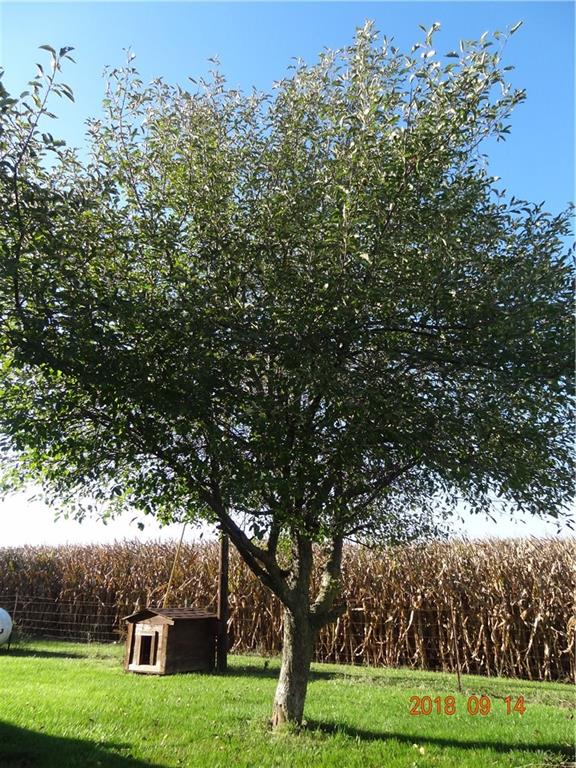 7720 West County Road Jamestown, IN 46147 - Photo 29 of 33 Gallery Image 29
