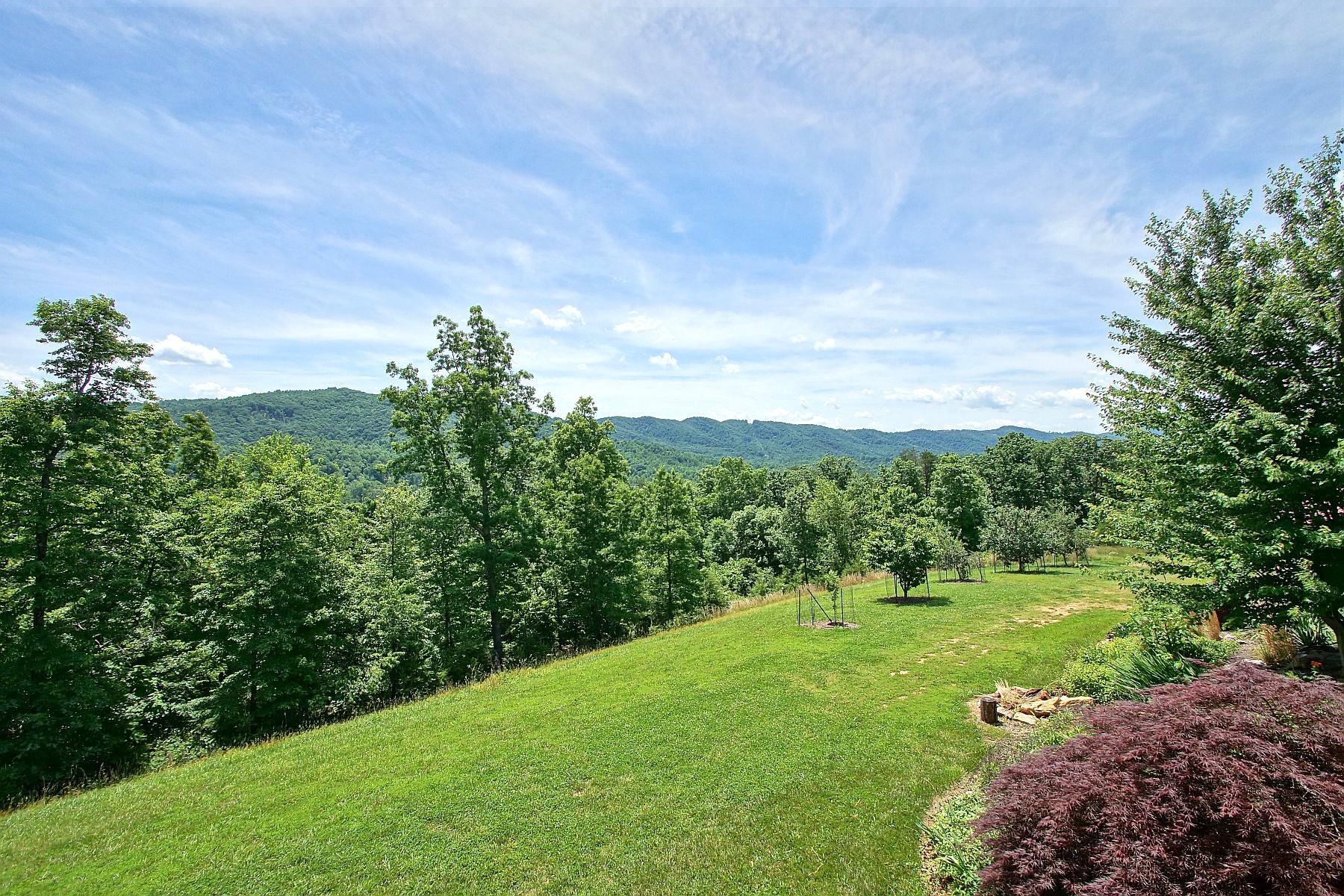 7988 Mayland Road Roanoke, VA 24014 - Photo 9 of 63 a view of a grassy field with trees in the background
