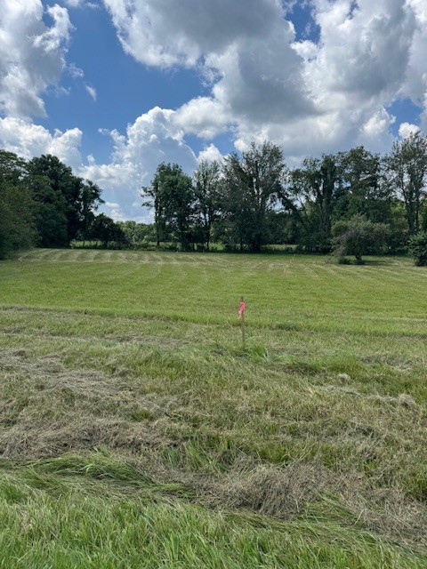 1234 Red Boiling Springs Road Lafayette, TN 37083 - Photo 1 of 5 a view of a field with an trees