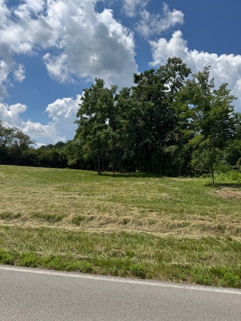 1234 Red Boiling Springs Road Lafayette, TN 37083 - Photo 5 of 5 a view of a yard