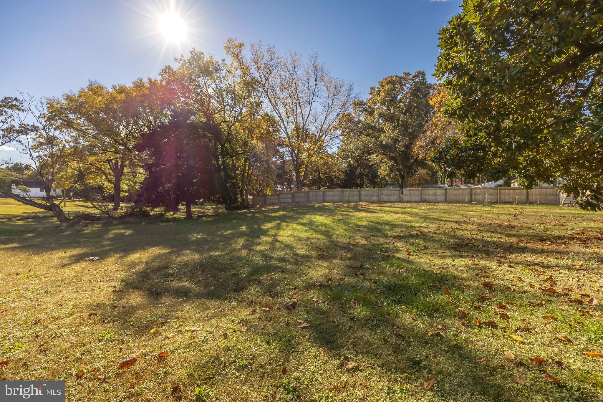 136 Marvel Road Salisbury, MD 21801 - Photo 39 of 42 a view of outdoor space with trees all around
