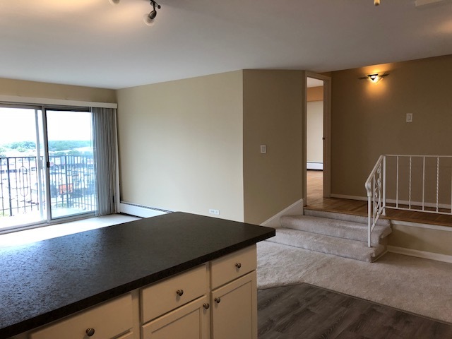 9001 Golf Road, Unit 9A Des Plaines, IL 60016 - Photo 12 of 22