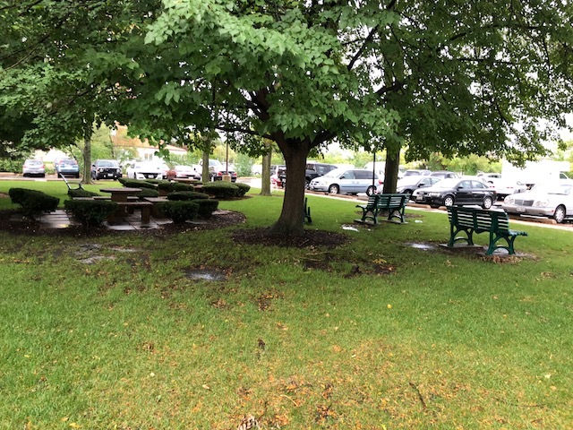 9001 Golf Road, Unit 9A Des Plaines, IL 60016 - Photo 21 of 22