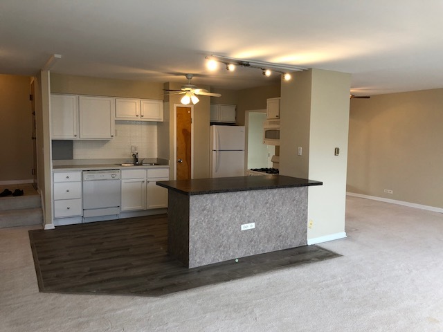 9001 Golf Road, Unit 9A Des Plaines, IL 60016 - Photo 7 of 22