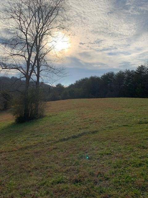 135 Hughes Road Greenback, TN 37742 - Photo 6 of 15