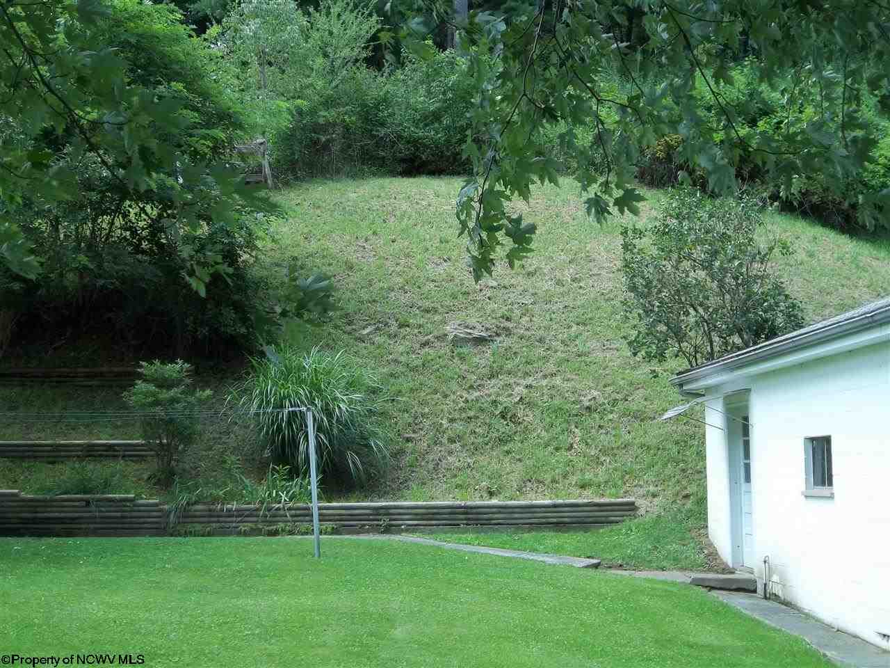 1260 Jakes Run Road Fairview, WV 26570 - Photo 8 of 11 Gallery Image 8