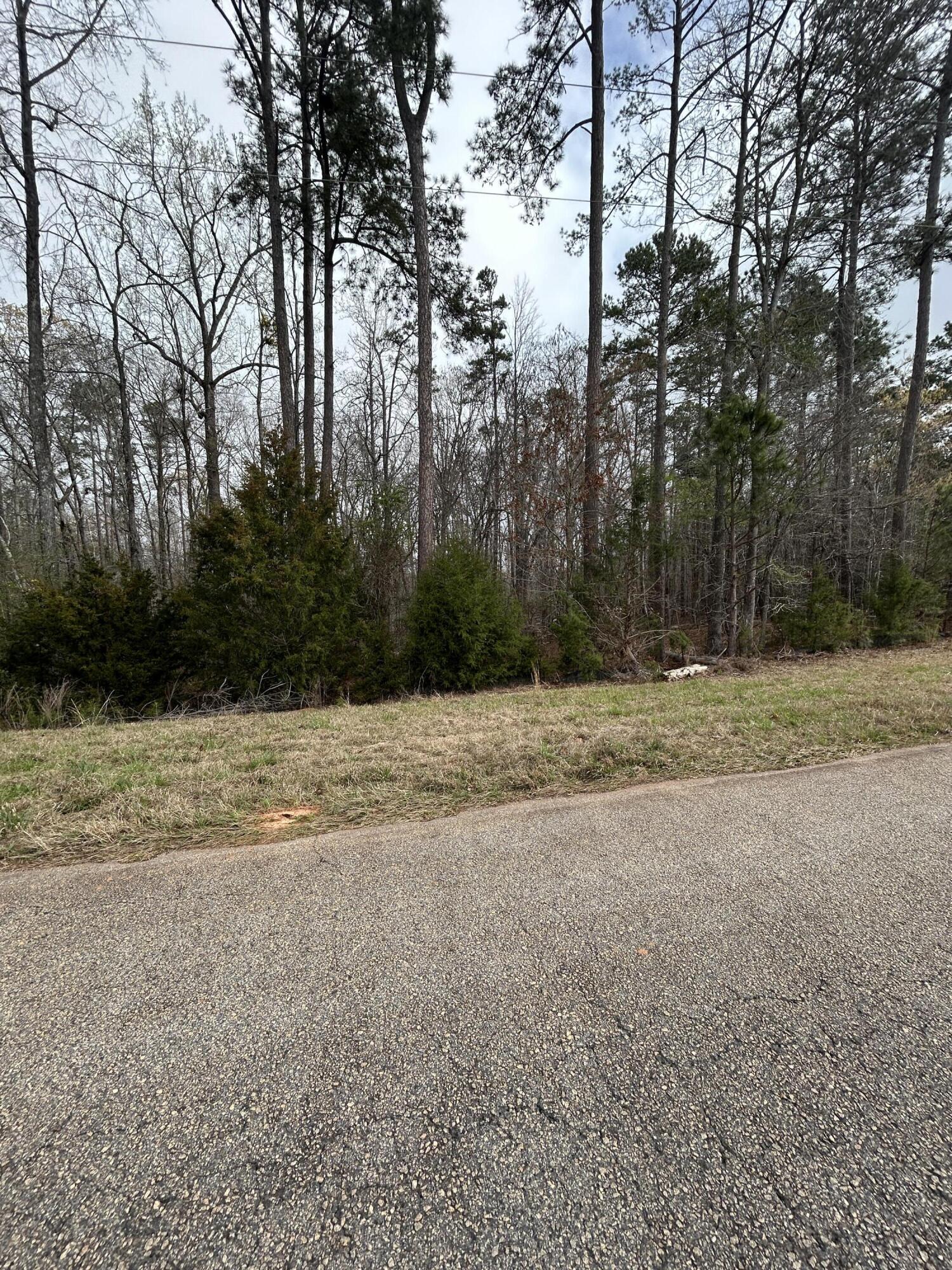 5.47-ac Nathania Farm Road Lincolnton, GA 30817 - Photo 2 of 4 IMG_7571