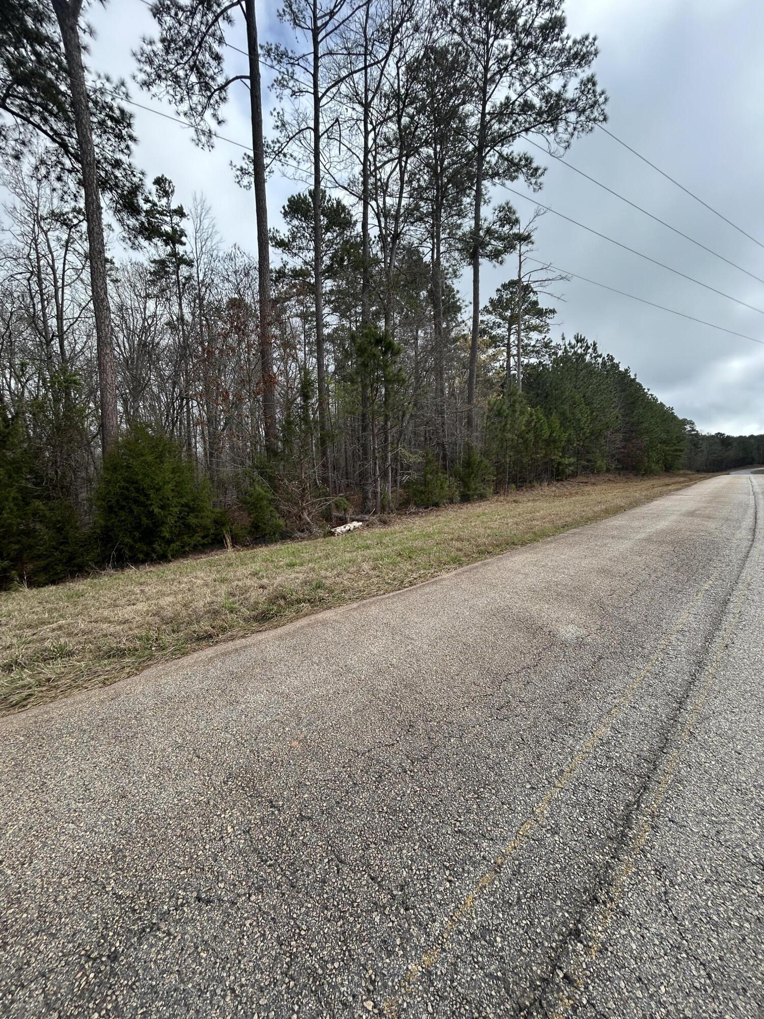 5.47-ac Nathania Farm Road Lincolnton, GA 30817 - Photo 3 of 4 IMG_7572