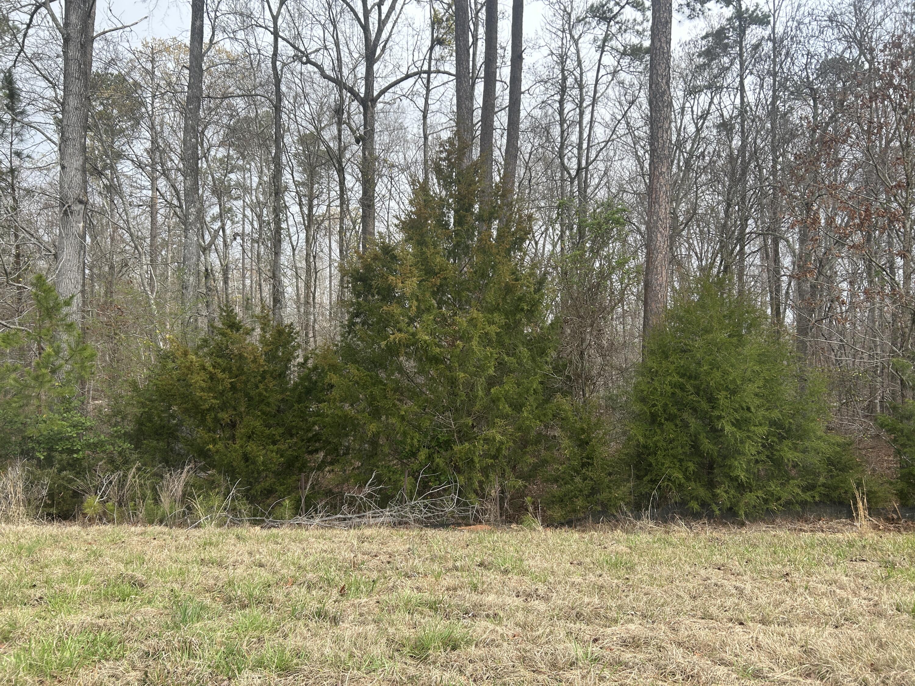 5.47-ac Nathania Farm Road Lincolnton, GA 30817 - Photo 4 of 4 IMG_7573