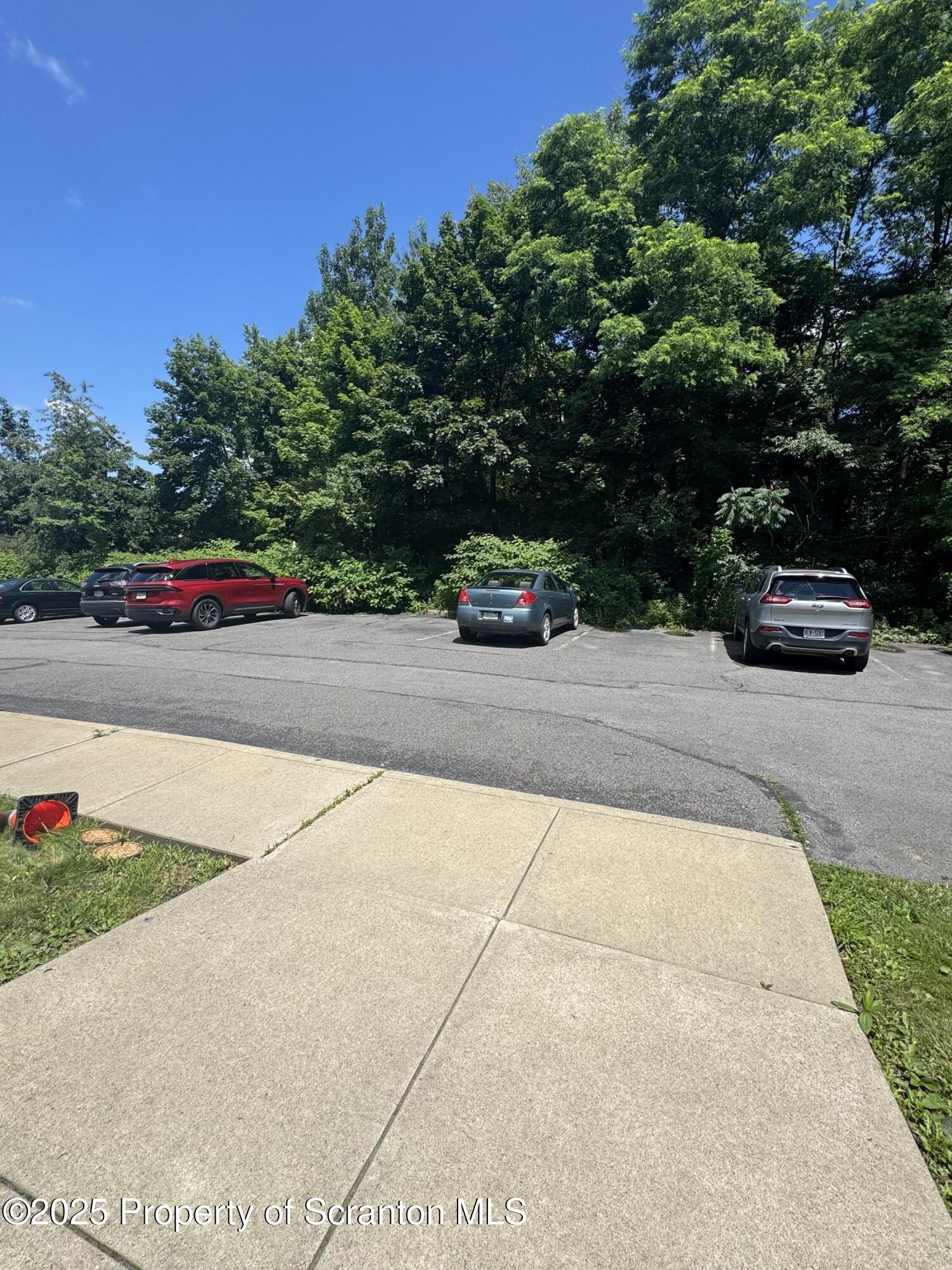 131 Smith Street, Unit 6 Dunmore, PA 18512 - Photo 2 of 13 a view of backyard with swimming pool and trees
