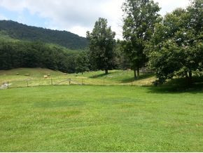 6128 Yuma Road Gate City, VA 24251 - Photo 9 of 24 Photo 9