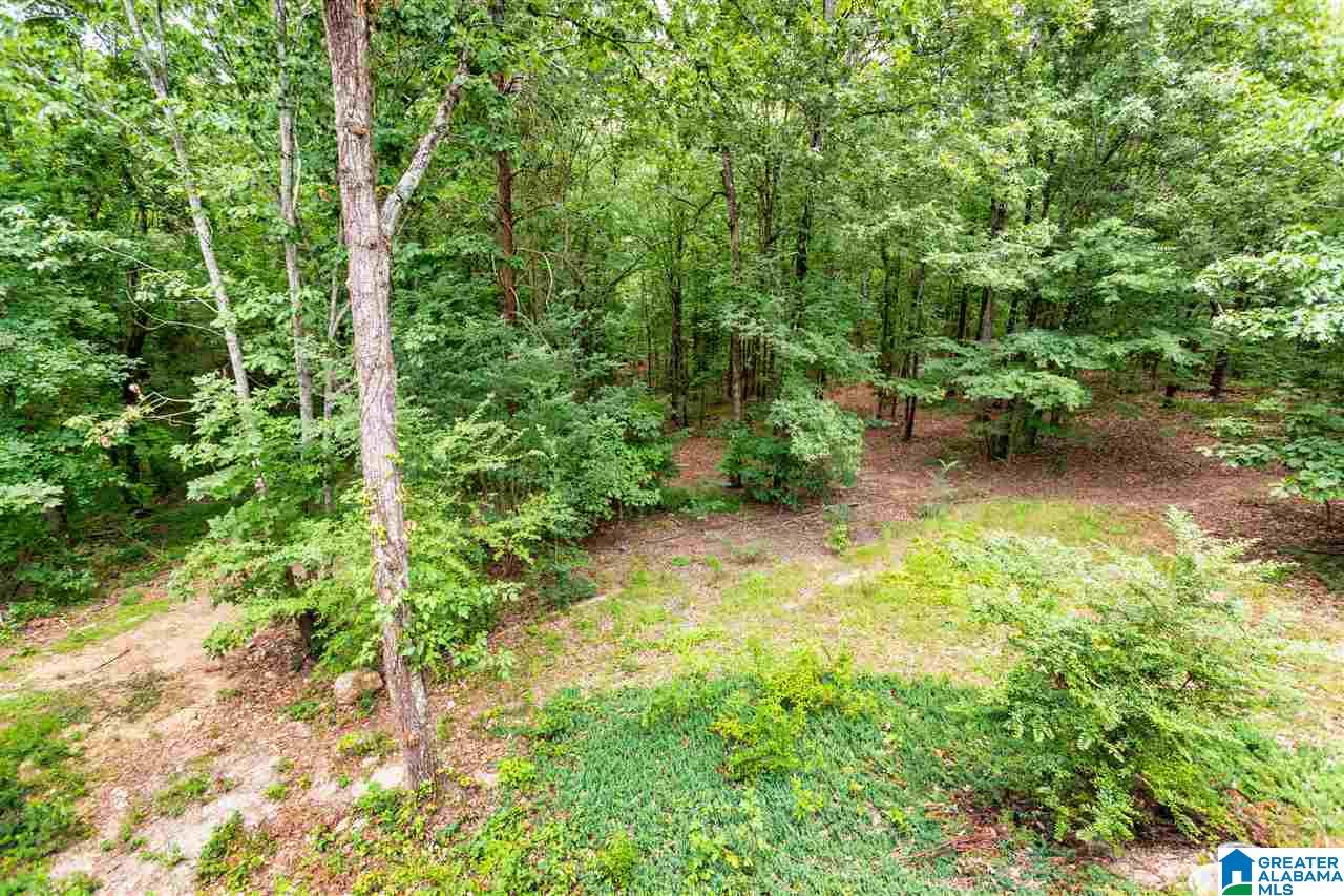 261 Forest Parkway Alabaster, AL 35007 - Photo 47 of 50