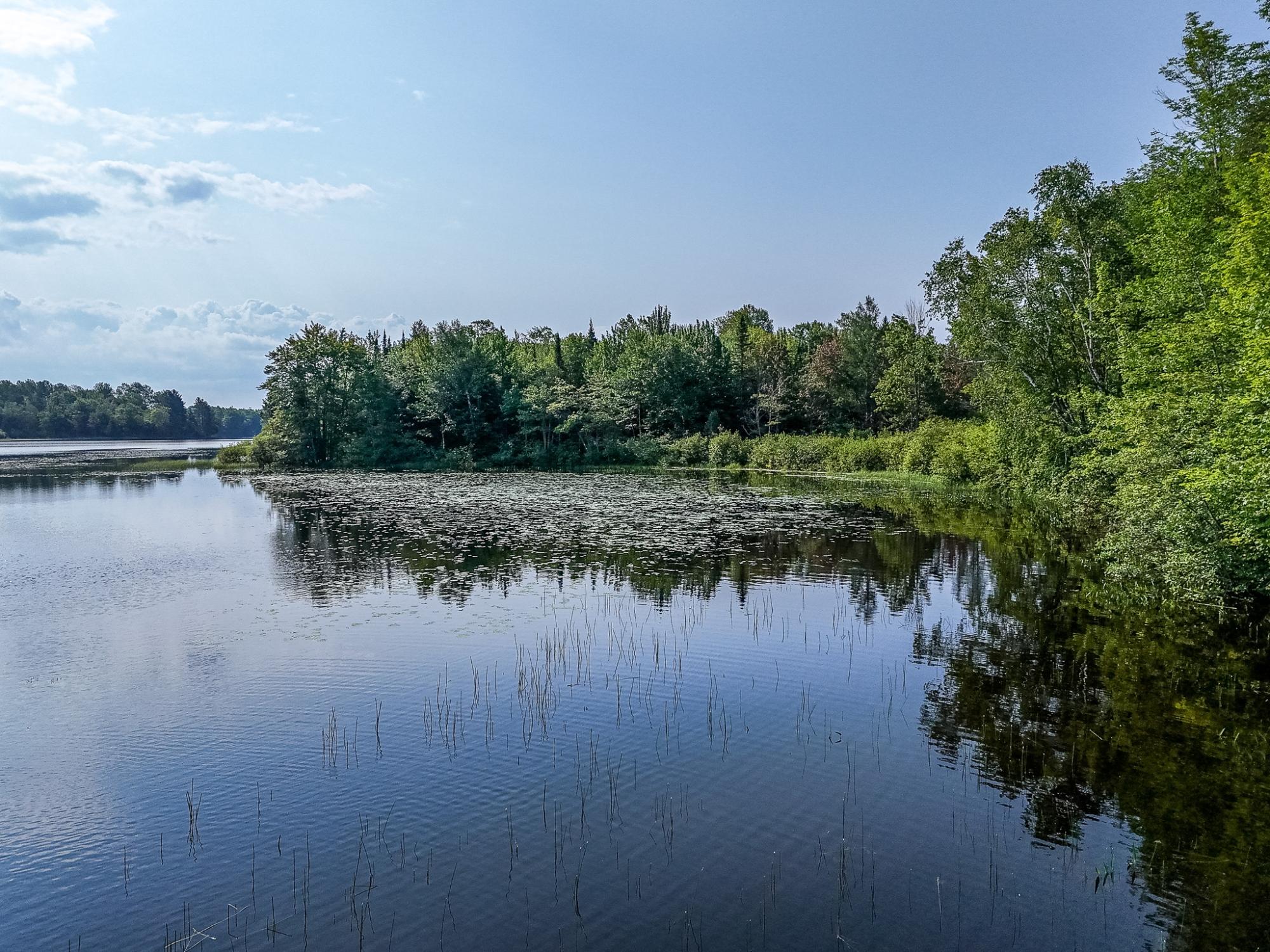 8185 Kunschke Road Presque Isle, WI 54557 - Photo 16 of 32 Gallery Image 16