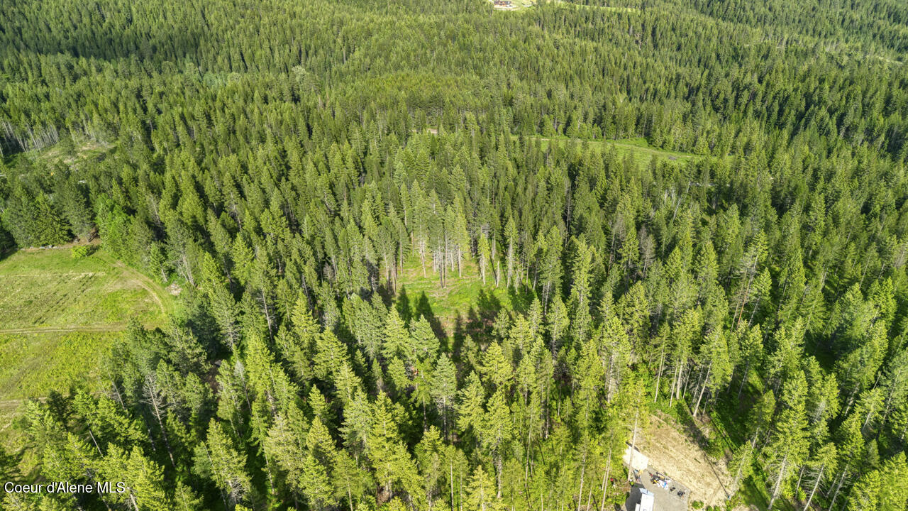 Nna Holmes Road Bonners Ferry, ID 83805 - Photo 6 of 7 Partially wooded