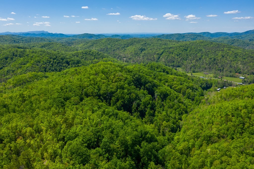 0 Henry Town Road Sevierville, TN 37876 - Photo 8 of 38 Gallery Image 8