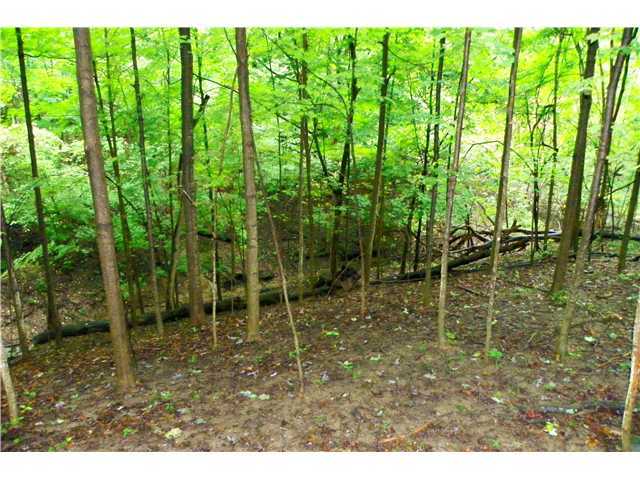 8775 Riebel Road Galloway, OH 43119 - Photo 19 of 25 Gallery Image 19