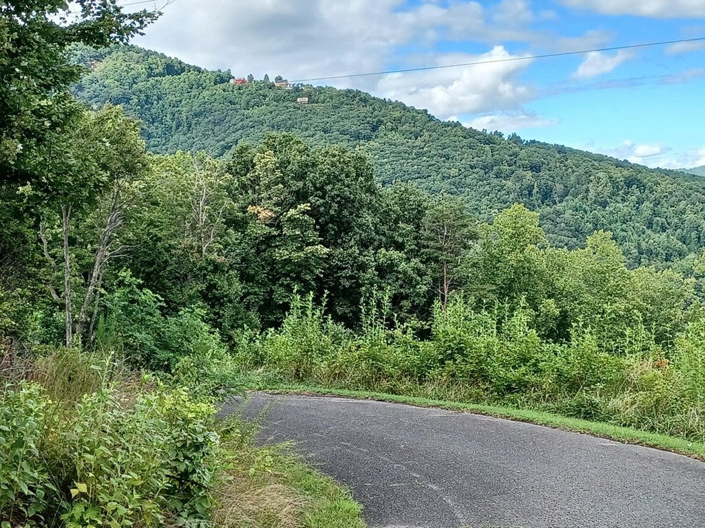 Tbd Old Ridge Trail, Unit 177 Fancy Gap, VA 24328 - Photo 3 of 5 Gallery Image 3