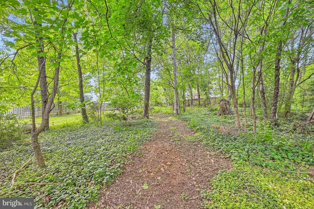 a big yard with lots of green space and trees