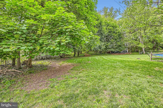 a view of a grassy field with trees