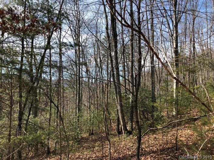 1 Hooper Cemetery Road, Unit 23 Cullowhee, NC 28723 - Photo 23 of 25 Gallery Image 23