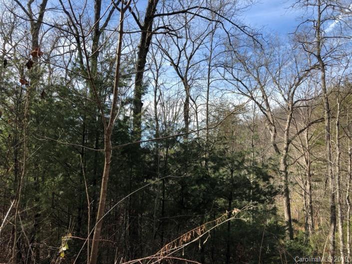 1 Hooper Cemetery Road, Unit 23 Cullowhee, NC 28723 - Photo 24 of 25 Gallery Image 24