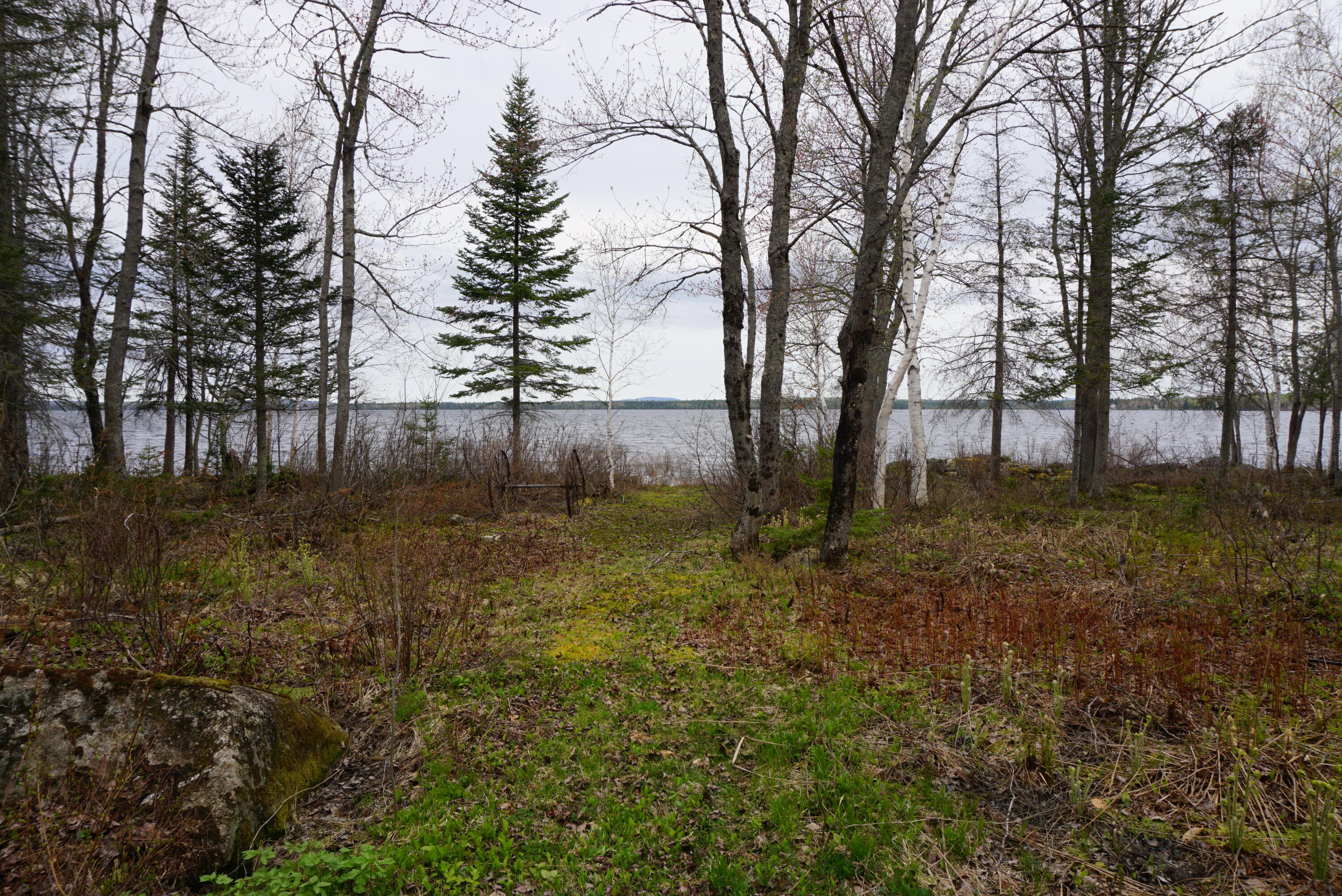 Lot 17 Ross Farm Road Greenville, ME 04441 - Photo 4 of 20 DSC00016