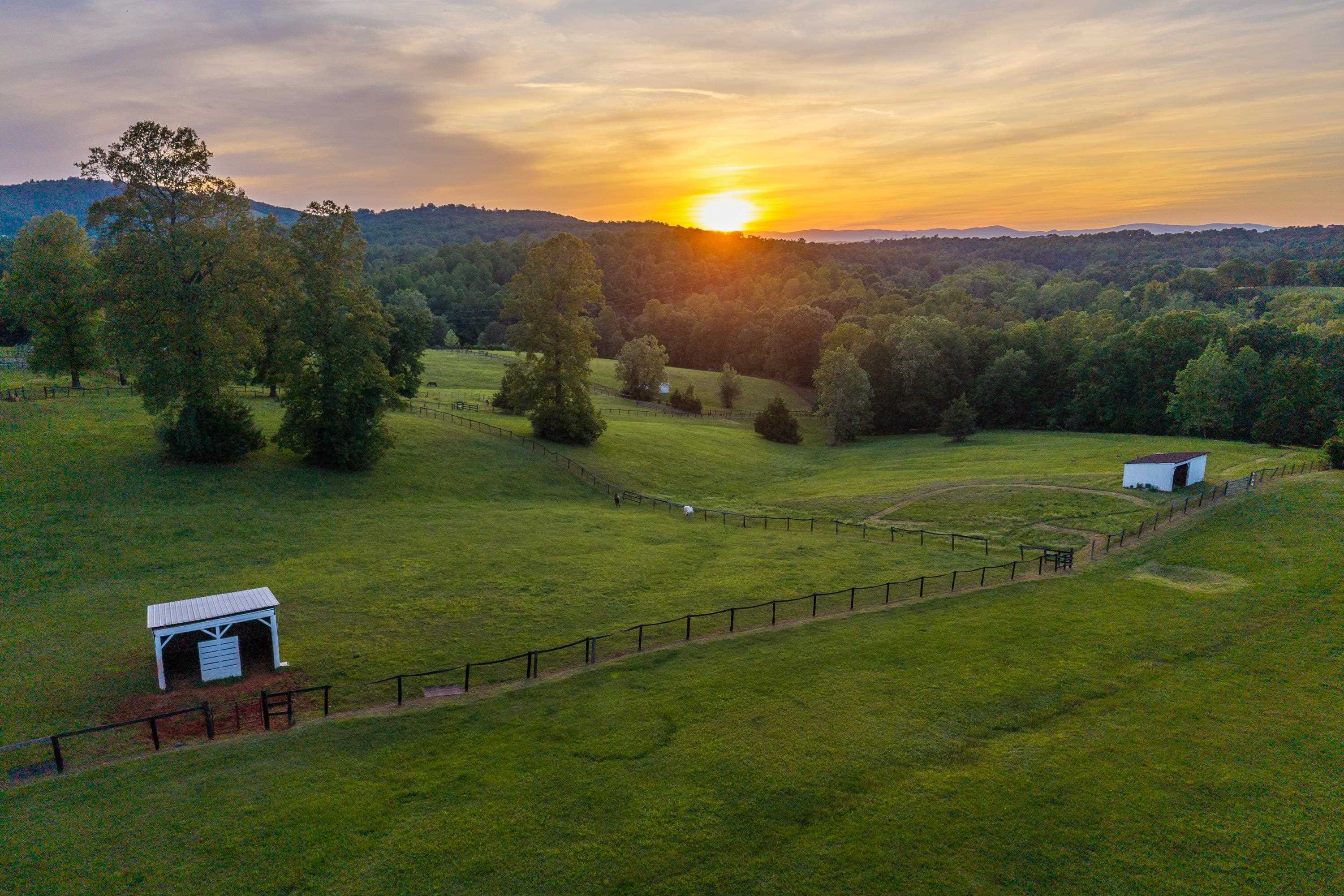1636 Milton Road Charlottesville, VA 22902 - Photo 63 of 75