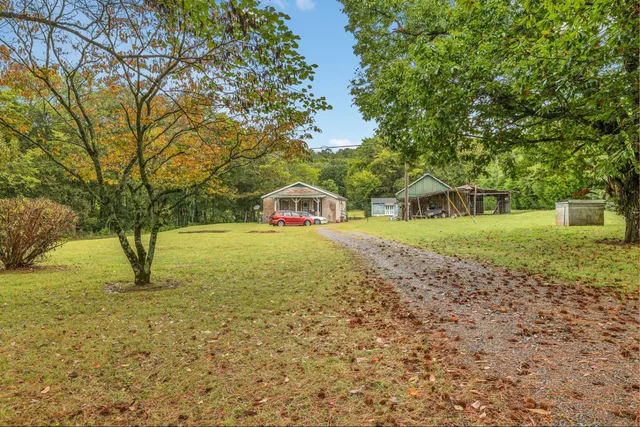 a view of a tree with a yard
