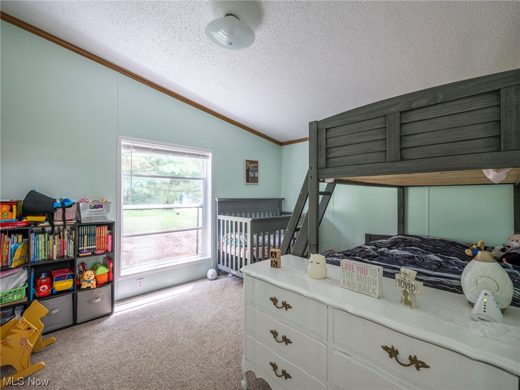 7720 Nebraska Road Northwest Dundee, OH 44624 - Photo 22 of 35 Gallery Image 22