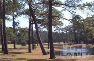 732 Olde Point Road Hampstead, NC 28443 - Photo 2 of 2 Additional Photo