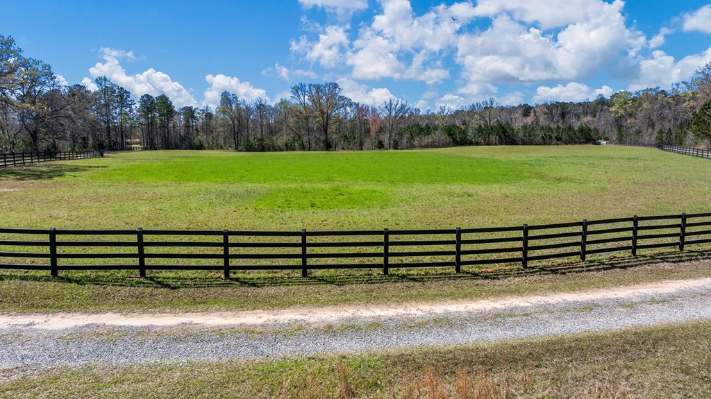 1229 Pierce Road Waverly Hall, GA 31831 - Photo 3 of 32