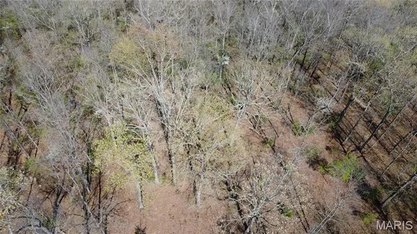 $305,000 | 14559 Hunter Lane, Winona, MO 65588