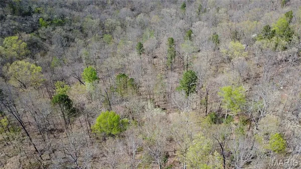$305,000 | 14559 Hunter Lane, Winona, MO 65588