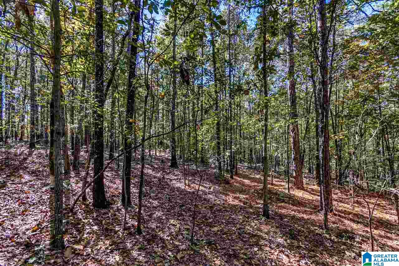 384 Wolf Pond Road, Unit 1 Talladega, AL 35160 - Photo 21 of 26