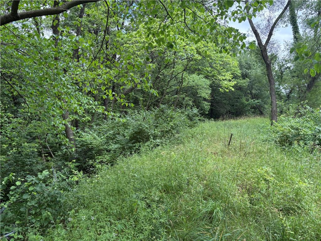 10023 South Munro Road Lone Jack, MO 64070 - Photo 33 of 38